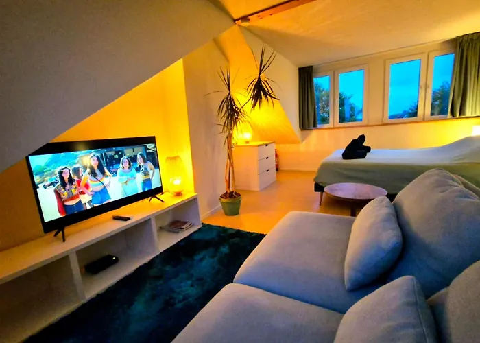 Welkom Op Texel Privé Bed & Breakfast De Koog (Texel)