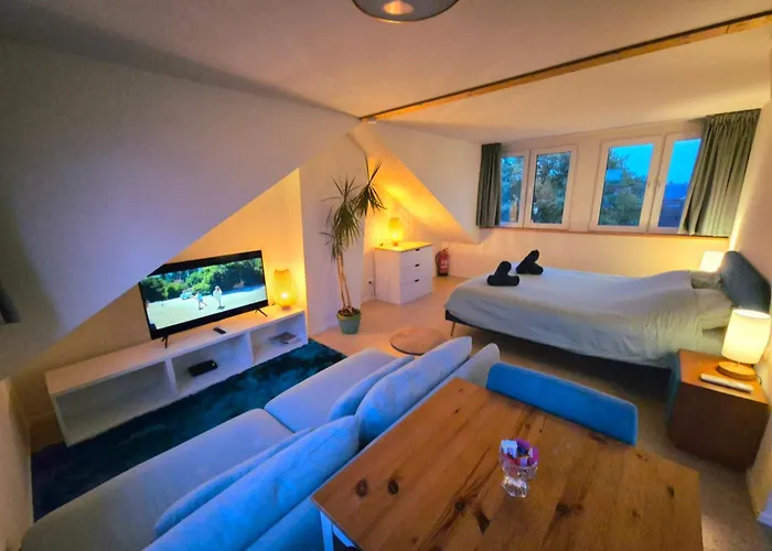 Welkom Op Texel Privé Bed & Breakfast 3*